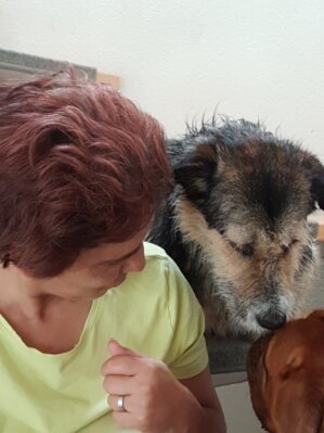 Hundetrainerin sitzt mit einem Hund in einer Trainingshalle