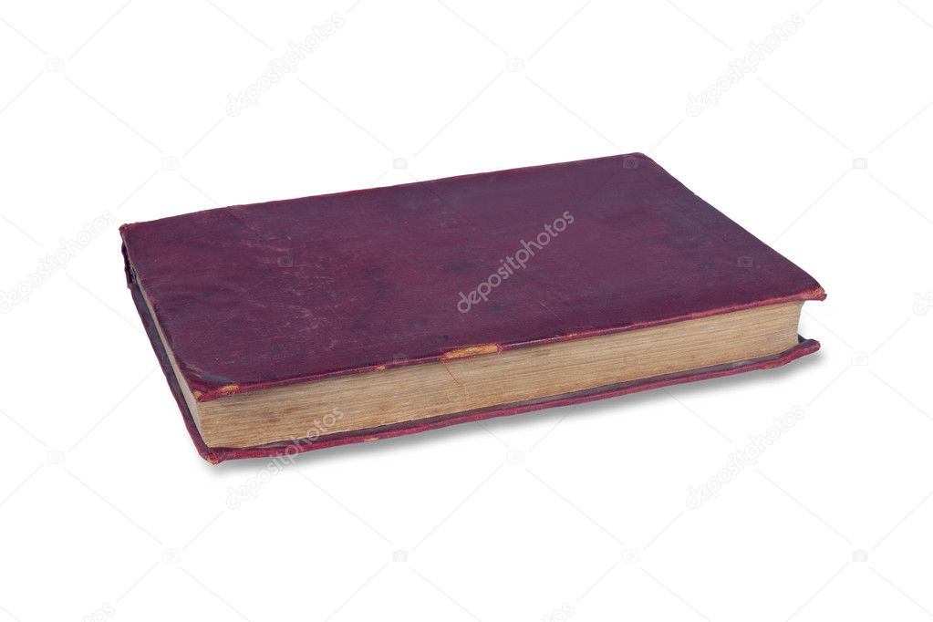 Hundehalterin spricht mit Hundetrainerin auf einem Trainingsplatz